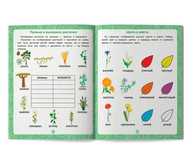 Растения: книга-тренажер по развитию речи и логики