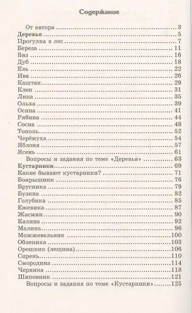 Беседы о деревьях и кустарниках с детьми 5—8 лет