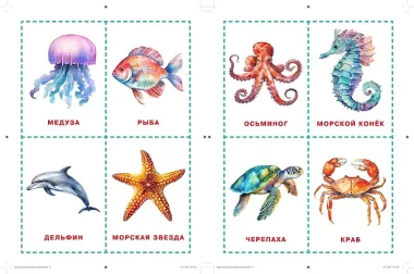 Карточки для нейротренировки по методике Гленна Домана: с 6 месяцев