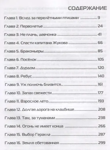 Окаянное лето. Роман