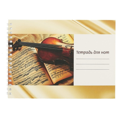 Тетрадь для нот «Скрипка на нотах», 12 листов, А5