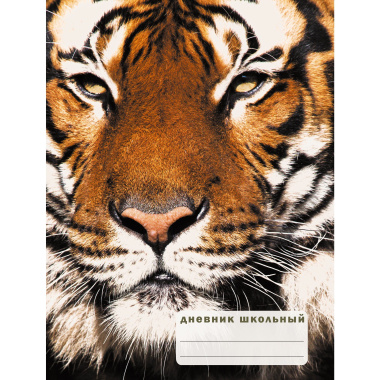 Дневник школьный «Взгляд тигра», 48 листов