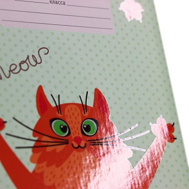 Дневник школьный для младших классов «Позитивный кот», 48 листов