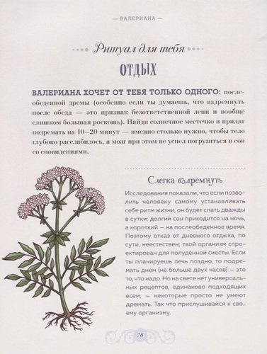 Магический гербарий. Вдохновляющие послания и ритуалы от 36 волшебных растений