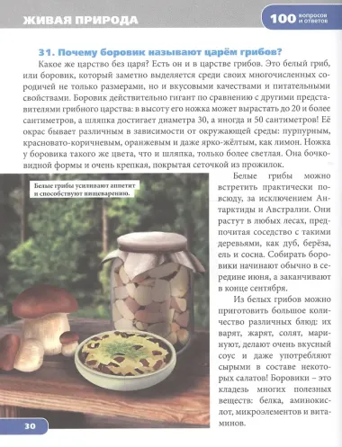 Живая природа