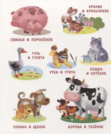 Моя первая книга о природе