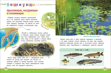 Современная энциклопедия дошкольника