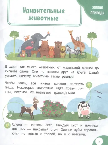 Моя первая книга открытий: для детей от 4-х лет