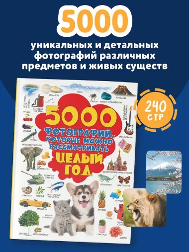 5000 фотографий, которые можно рассматривать целый год
