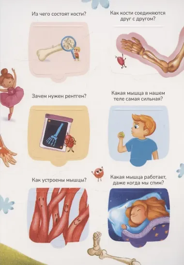 Знания в окошках. Наше тело