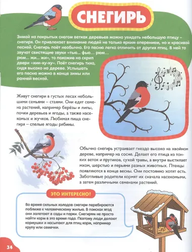 Птицы для самых маленьких