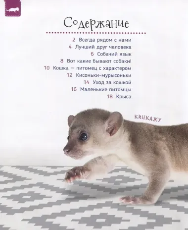 Домашние питомцы