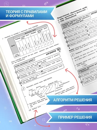 Математика. 5-6 классы