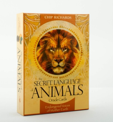 Secret Language of Animals (46 cards and guidebook)