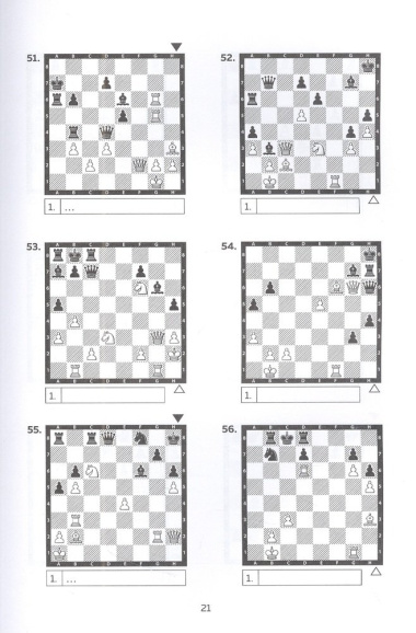 Шахматы. Задачи на мат в 2 хода. Более 500 задач