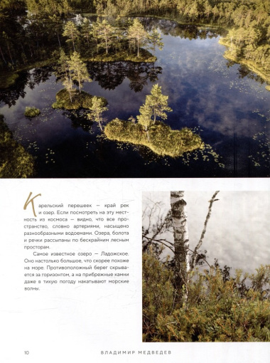 Великая Россия: альбом дикой природы от Белого моря до Камчатки