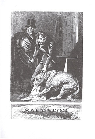 Сальватор, в двух томах