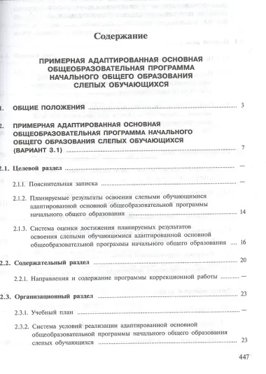 Примерная адаптированная основная общеобразовательная программа начального общего образования слепых обучающихся. ФГОС ОВЗ