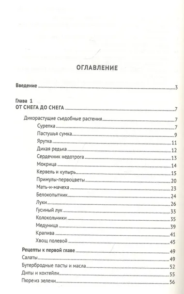 Кухня Робинзона. Рецепты блюд из дикорастущих и декоративных растений