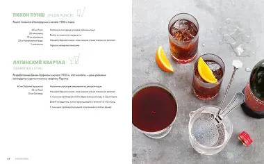 Практическая миксология. Девайсы. Техники. Ингредиенты