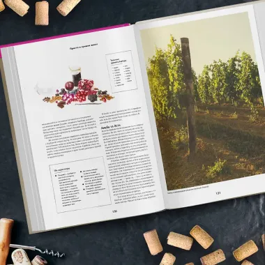 Просто о лучших винах. Новая энциклопедия. Издание 2-е, дополненное