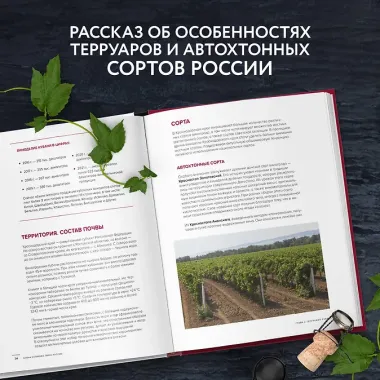 Вино России. История, география, выбор