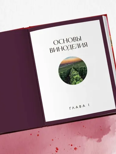 Вино к еде. Искусство идеального сочетания