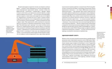 Love&Whiskey. Виски. Путеводитель в мир свободы, культуры и коктейлей