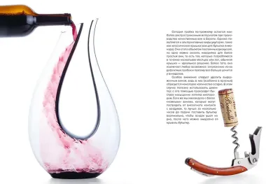 Маленькая книга гурмана. Вино