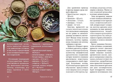 Праздник как по нотам. Специи и пряности.