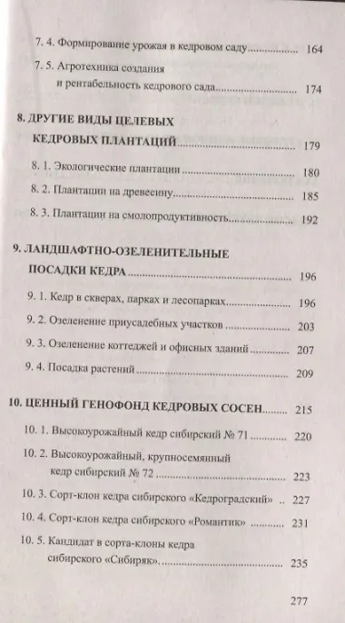 Кедр - царь сибирской тайги