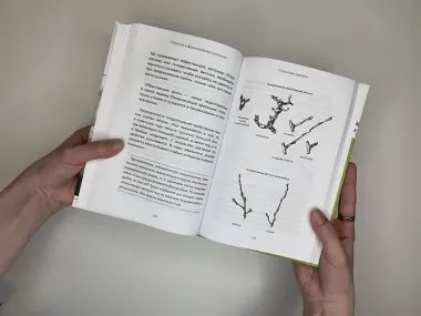 Энциклопедия садовой обрезки