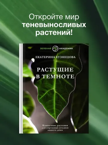 Растущие в темноте. Комнатные растения для укромных уголков вашего дома
