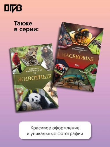Бабочки. Иллюстрированный гид