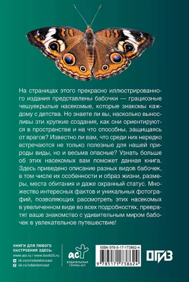 Бабочки. Иллюстрированный гид