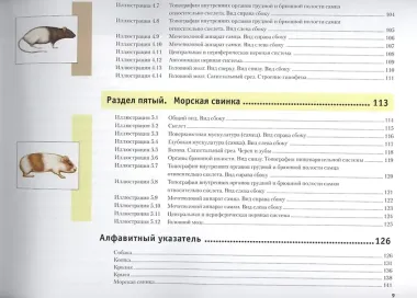 Атлас анатомии мелких домашних животных
