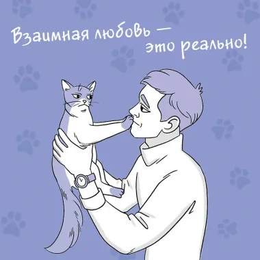 Я тебя понимяу. Как понять язык кошки