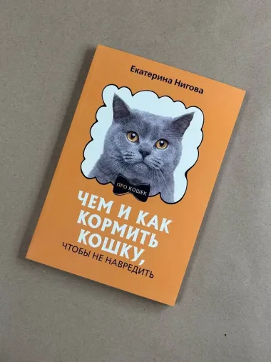 Чем и как кормить кошку, чтобы не навредить