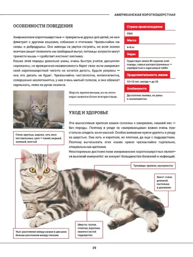 Кошки. Большая визуальная энциклопедия