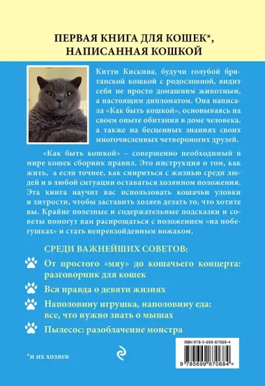 Как быть кошкой