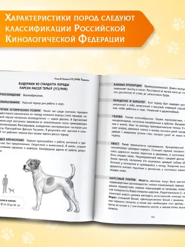 Породы собак Энциклопедия (обложка с терьером)
