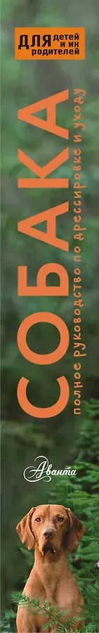 Собака. Полное руководство по дрессировке и уходу
