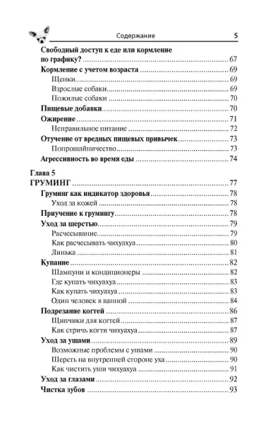 Чихуахуа. Любимцы на ладони