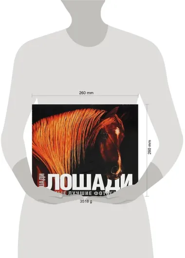 Лошади. Самые лучшие фотографии: Альбом