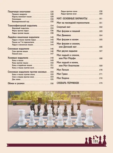 Шахматы. Большая энциклопедия