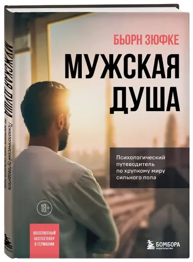 Мужская душа. Психологический путеводитель по хрупкому миру сильного пола