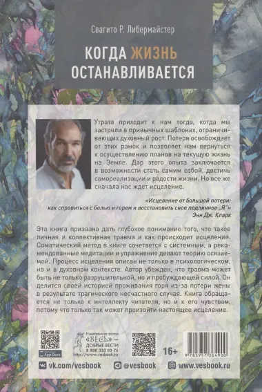 Когда жизнь останавливается. Травма, привязанность и семейная расстановка (6490)