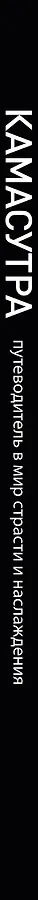Камасутра. Путеводитель в мир страсти и наслаждения