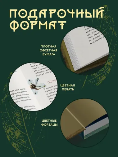 Wabi Sabi. Японские секреты истинного счастья в неидеальном мире