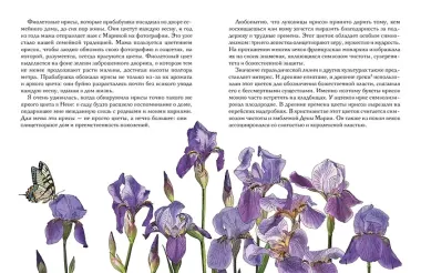 Утешение природой